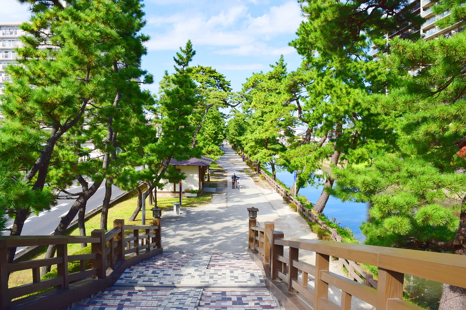 草加市の障害年金に関する相談先一覧